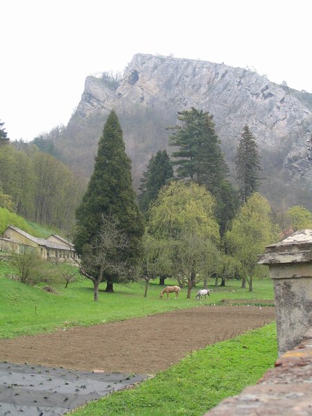 Skála nad Svatým Janem pod Skalou