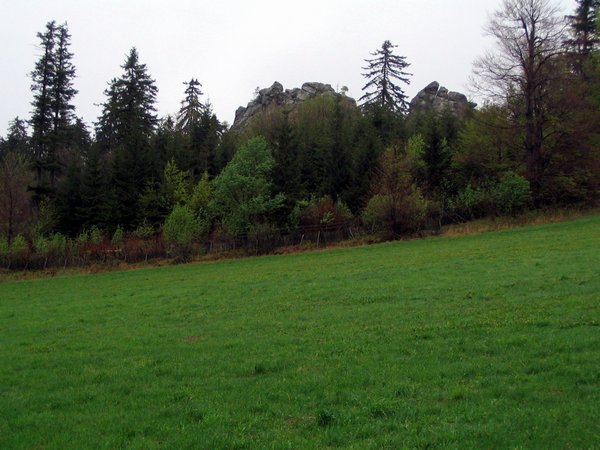 Dráteničky