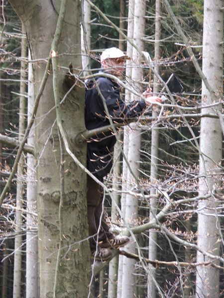 Další špeh ve větvích